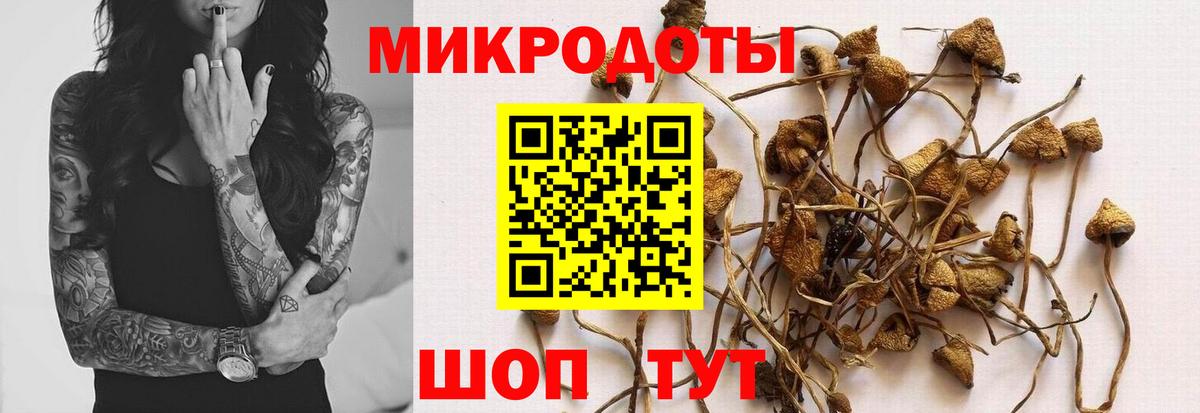 Псилоцибиновые грибы Psilocybine cubensis Сертолово